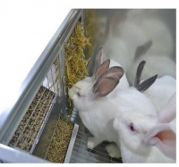 Клетка для кроликов с маточным отделением "ПРОФЕССИОНАЛ" 95-КМ-1 СТАНДАРТ 